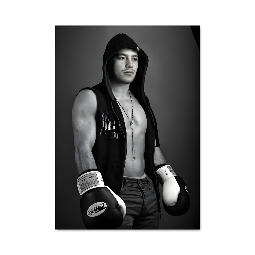 Poster Robin de van